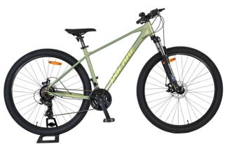 Volare X-Trail MTB – Jongens – 29er – M - Groen – 21 speed
