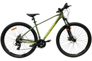 Volare X-Trail MTB – Jongens – 29er – L - Groen – 21 speed
